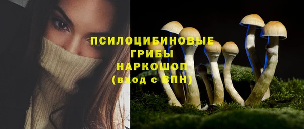 спайс Новодвинск