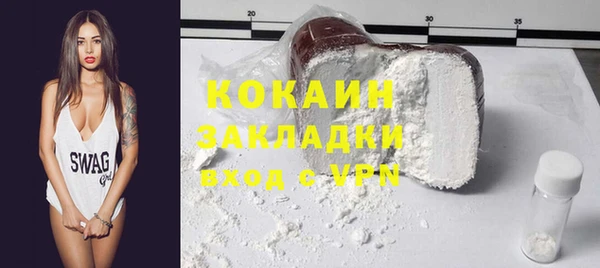 индика Новокубанск