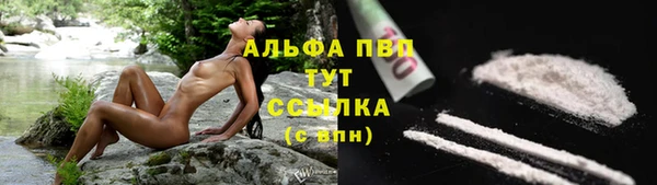 марки nbome Кирсанов