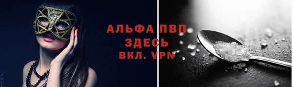 спайс Новодвинск