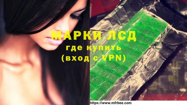 индика Новокубанск