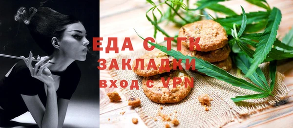 индика Новокубанск