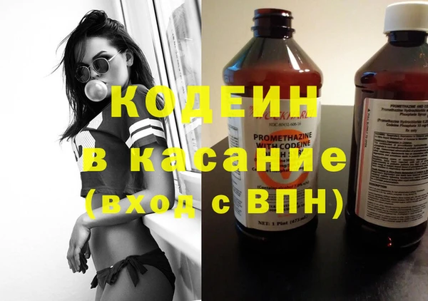 индика Новокубанск