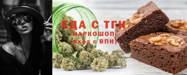 эйфоретик Няндома