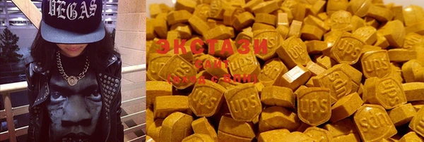 индика Новокубанск