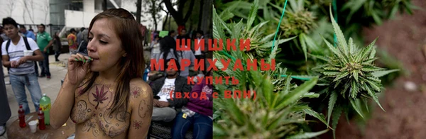спайс Новодвинск