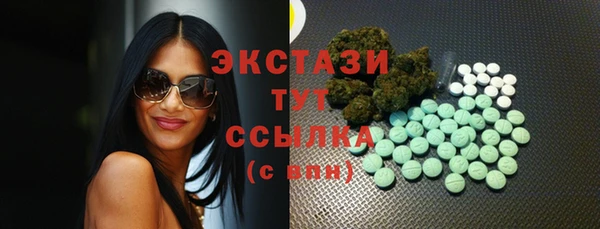 индика Новокубанск