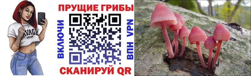 Псилоцибиновые грибы ЛСД  Красный Сулин 