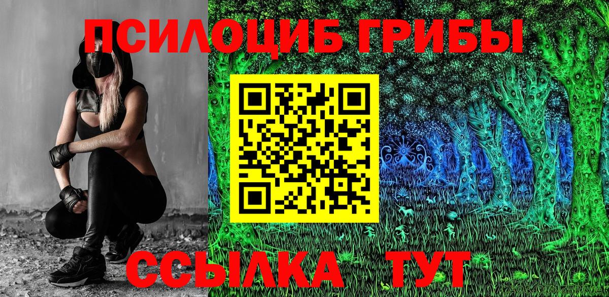 Псилоцибиновые грибы прущие грибы  закладка  Красный Сулин 