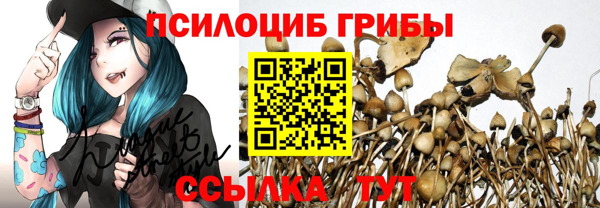 Галлюциногенные грибы мицелий  Псилоцибиновые грибы GOLDEN TEACHER  Вход с VPN  Красный Сулин 